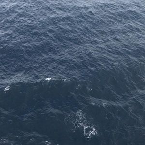 Meet your Posher, Samuel